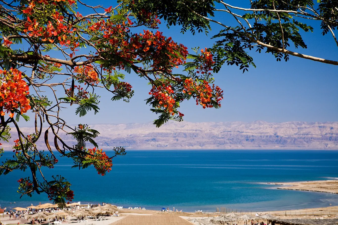 eco travel magia izraela